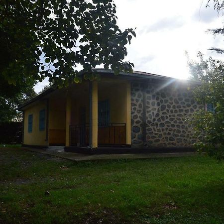 Chef Wondim Backpackers Hostel Gonder Exterior foto